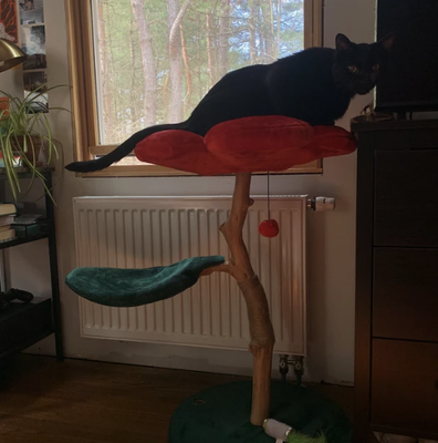 ZINNIA RED DOS - KBS FLORAL CAT TREE – KBSPETS