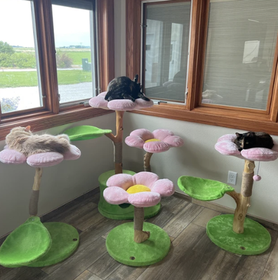 Cherry Blossom Dos Flower Cat Tree & Tower, Large, Pink, Kbspets