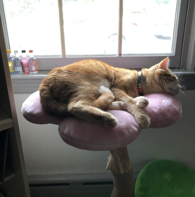 Cherry Blossom Dos Flower Cat Tree & Tower, Large, Pink, Kbspets