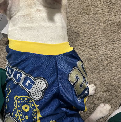 chargers dog jersey