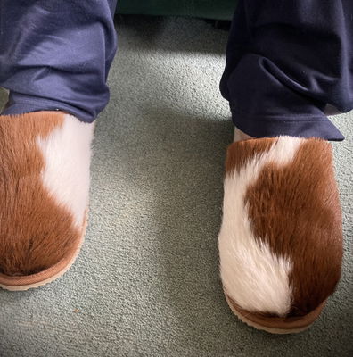 Cowhide slippers 2024 new zealand