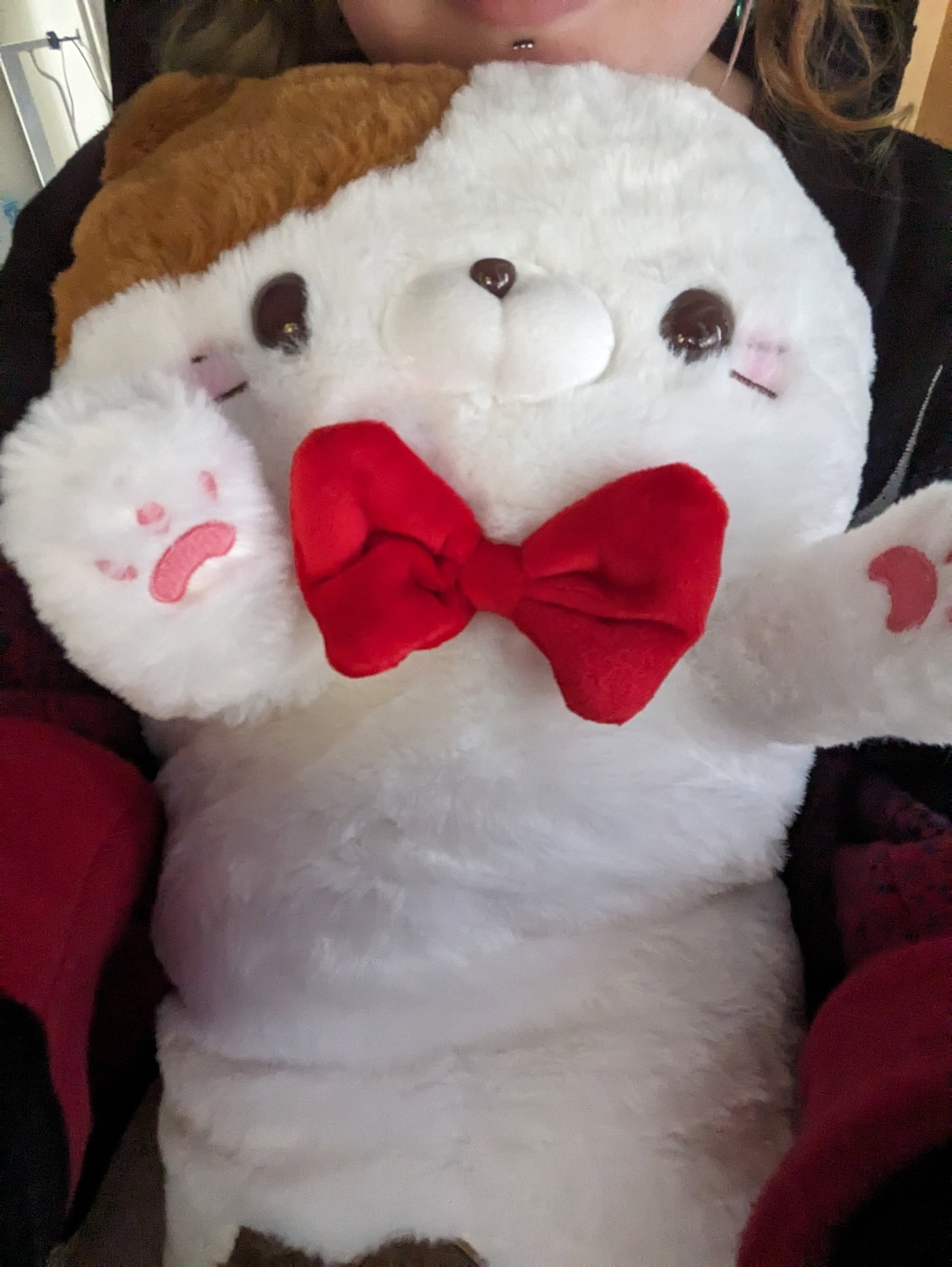 Nyanko Plushie - Hug Me! Edition - Gingersnap