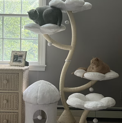 Cozy Plush Blanc Eden Modern Cat Tree & Condo, Large, White, Kbspets
