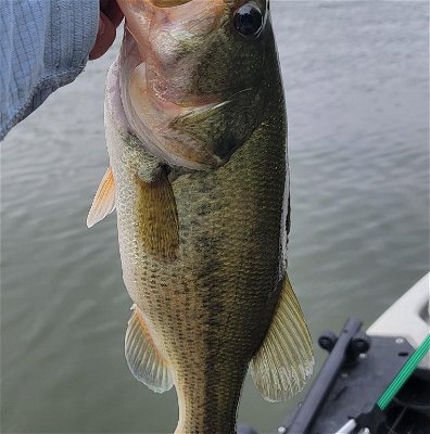 for looking at purely casting distance with light lures, any advantage with  a baitcaster over a spinning reel? : r/BFSfishing