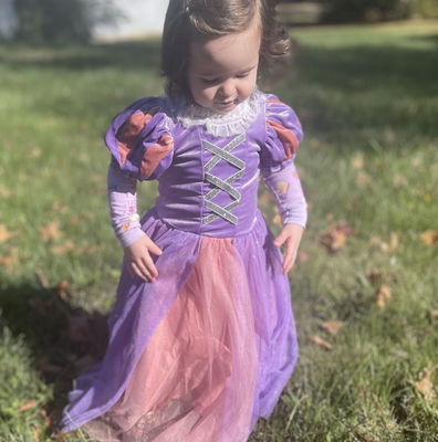 Disney princess hot sale costumes canada