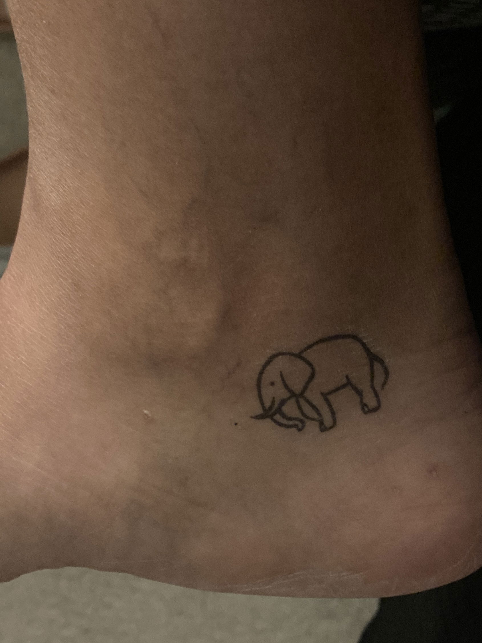 Elephant tattoo #thebamboorooms #bambootattoomaster #tattoo #tattoos  #bambootattoo #handpoked #handpokedtattoos #thaitattoo #traditionalt... |  Instagram