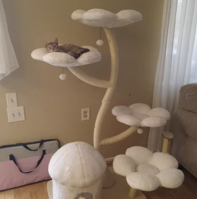 Cozy Plush Blanc Eden Modern Cat Tree & Condo, Large, White, Kbspets