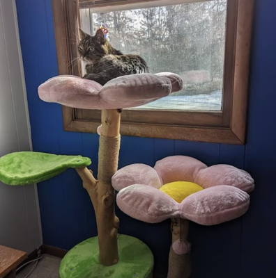 Cherry Blossom Tres KBS Floral Cat Tree KBSPETS