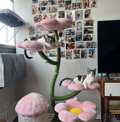 Cherry Blossom Eden: The Ultimate Floral Cat Tree