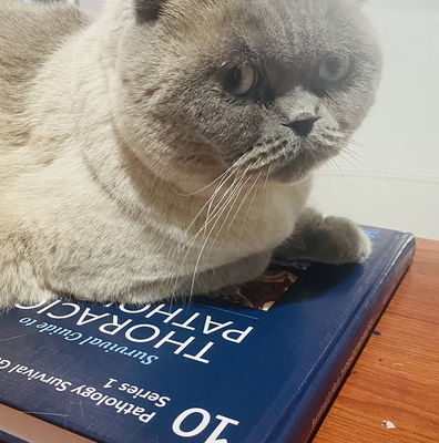 Survival Guide to Thoracic Pathology | Innovative Science Press