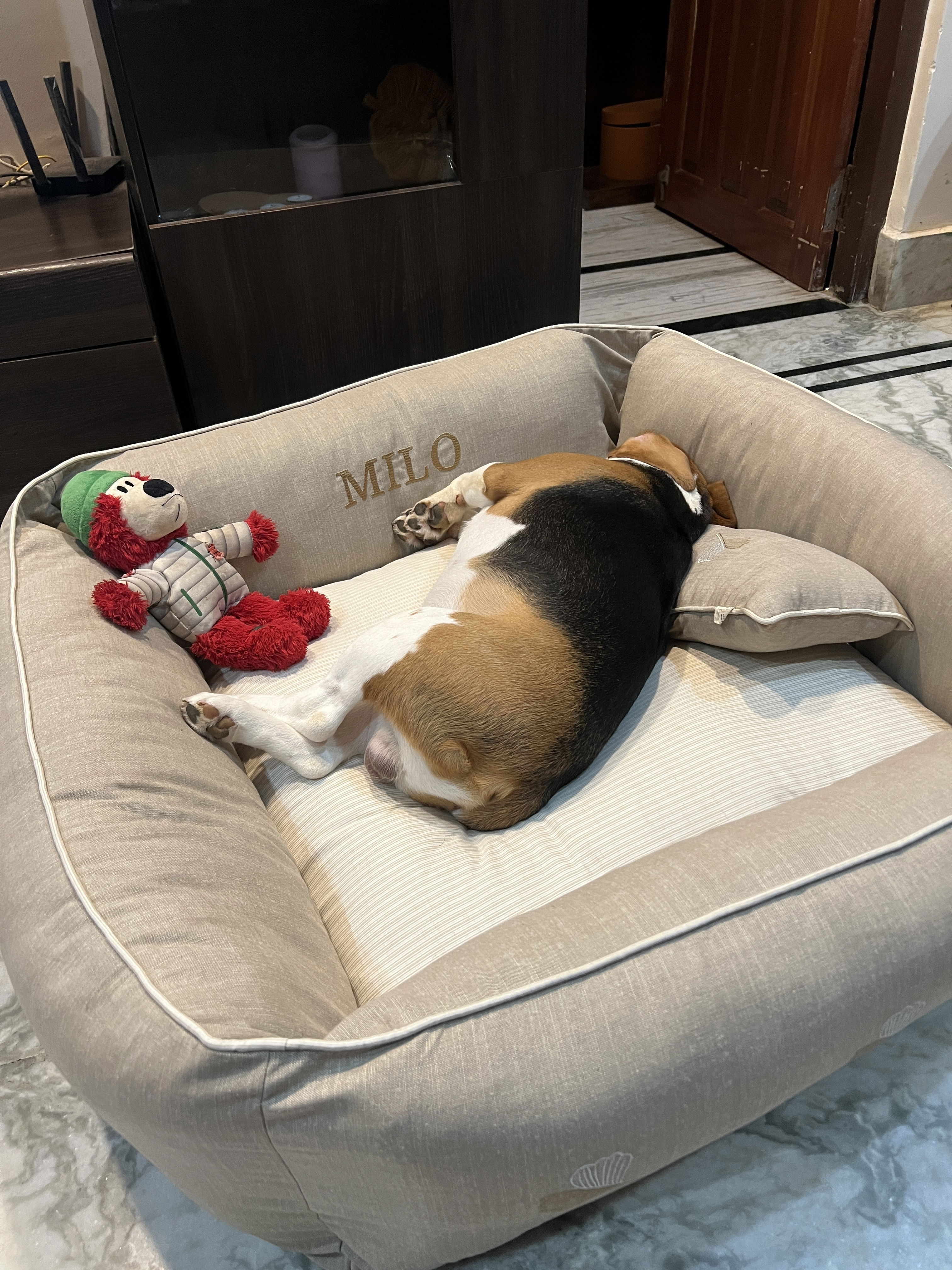 milo nest dog bed reviews