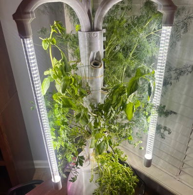 Complete Indoor Hydroponic Grow System | Highly Efficient