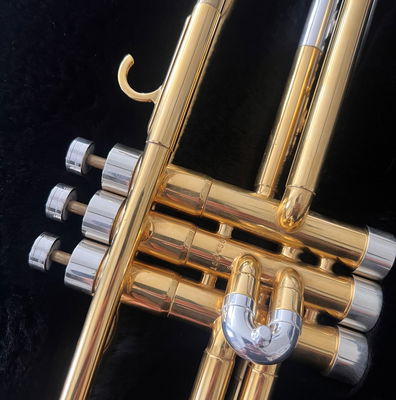 Trumpet MEDIUM Trim Kit - KGUmusic