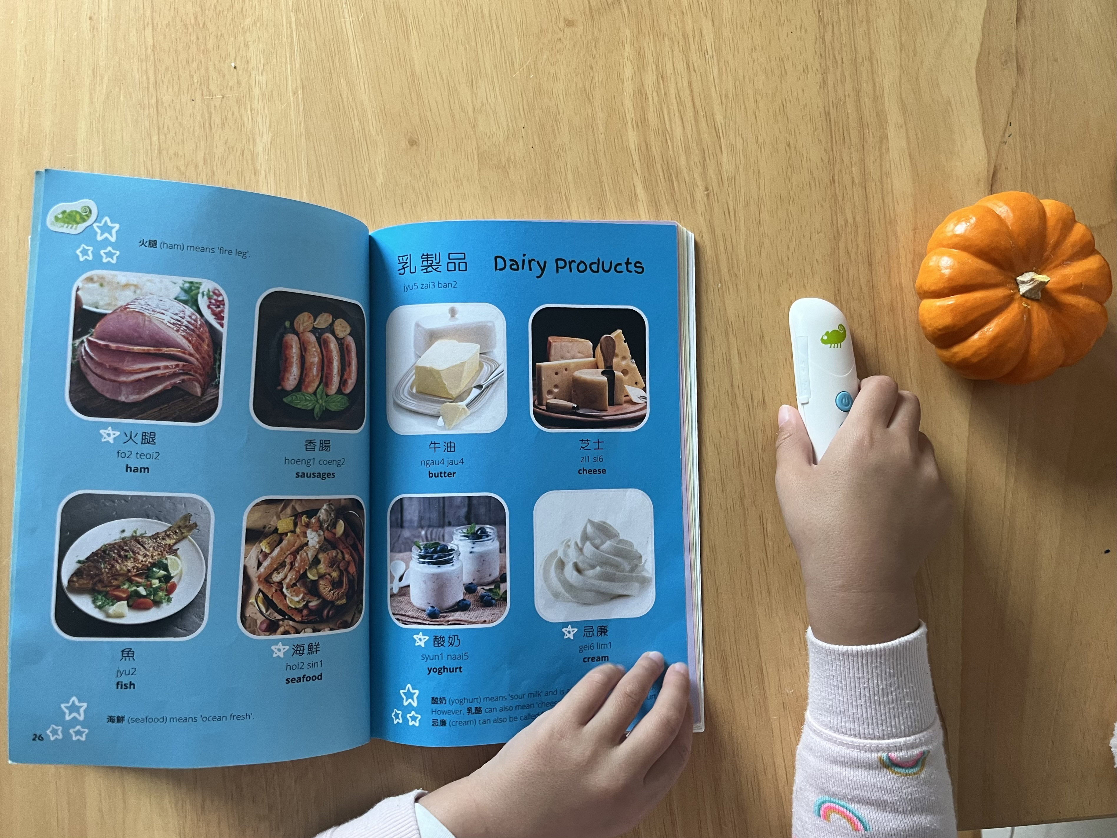 Chameleon Reader Starter Set | Chameleon Reader