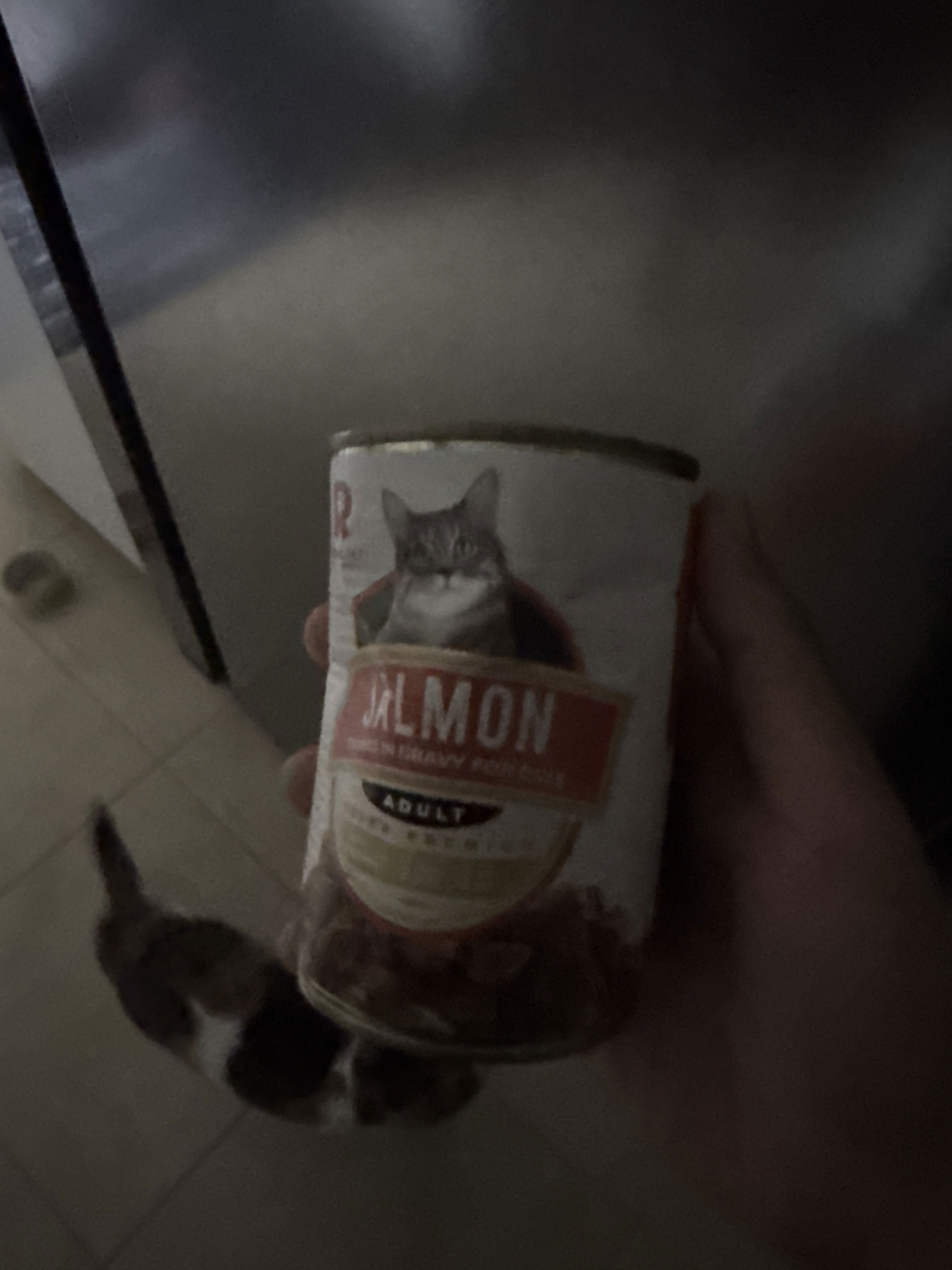 Royal canin sensible 2kg – Kira Pet