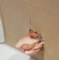 Photo thumbnail