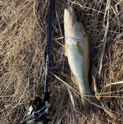 Argon Fishing Rod – KISTLER Fishing
