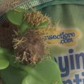 Photo thumbnail