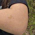 Photo thumbnail