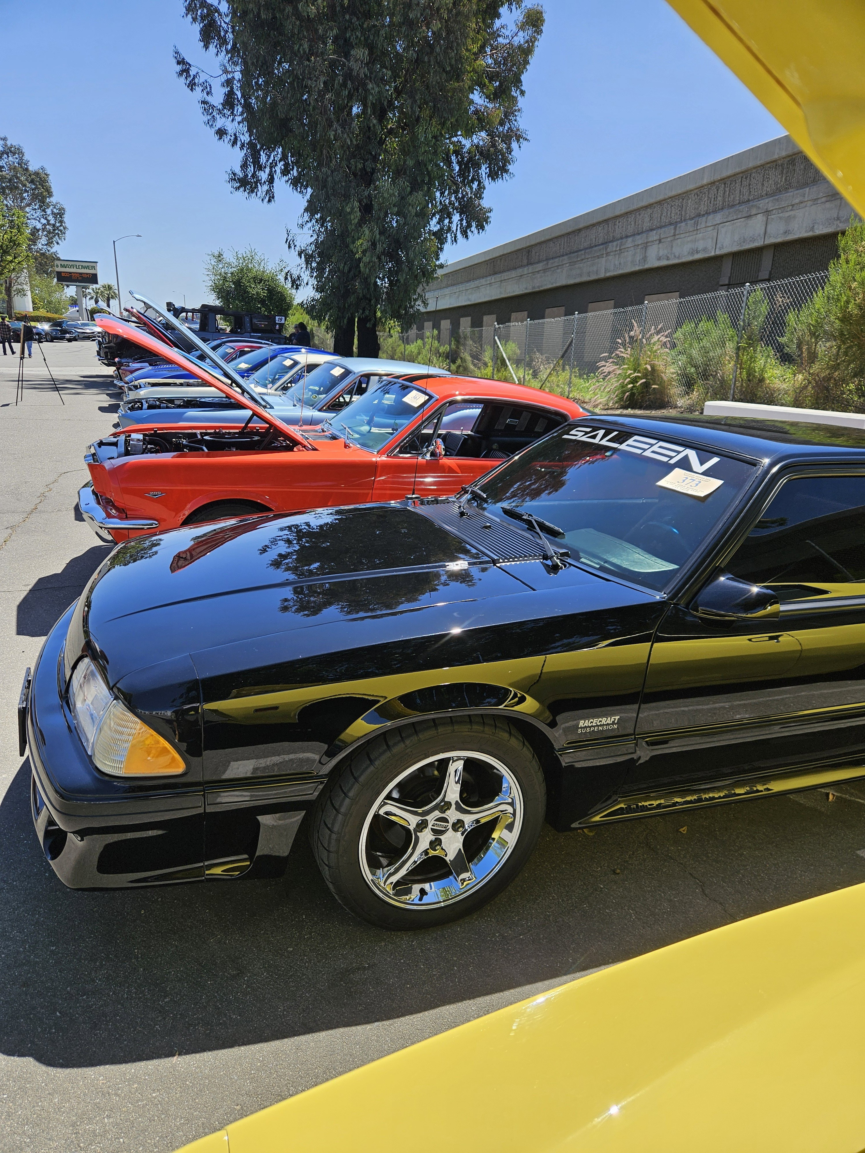 Windshield Banner, Saleen, 89-98 S281 S351 | Saleen – Saleen