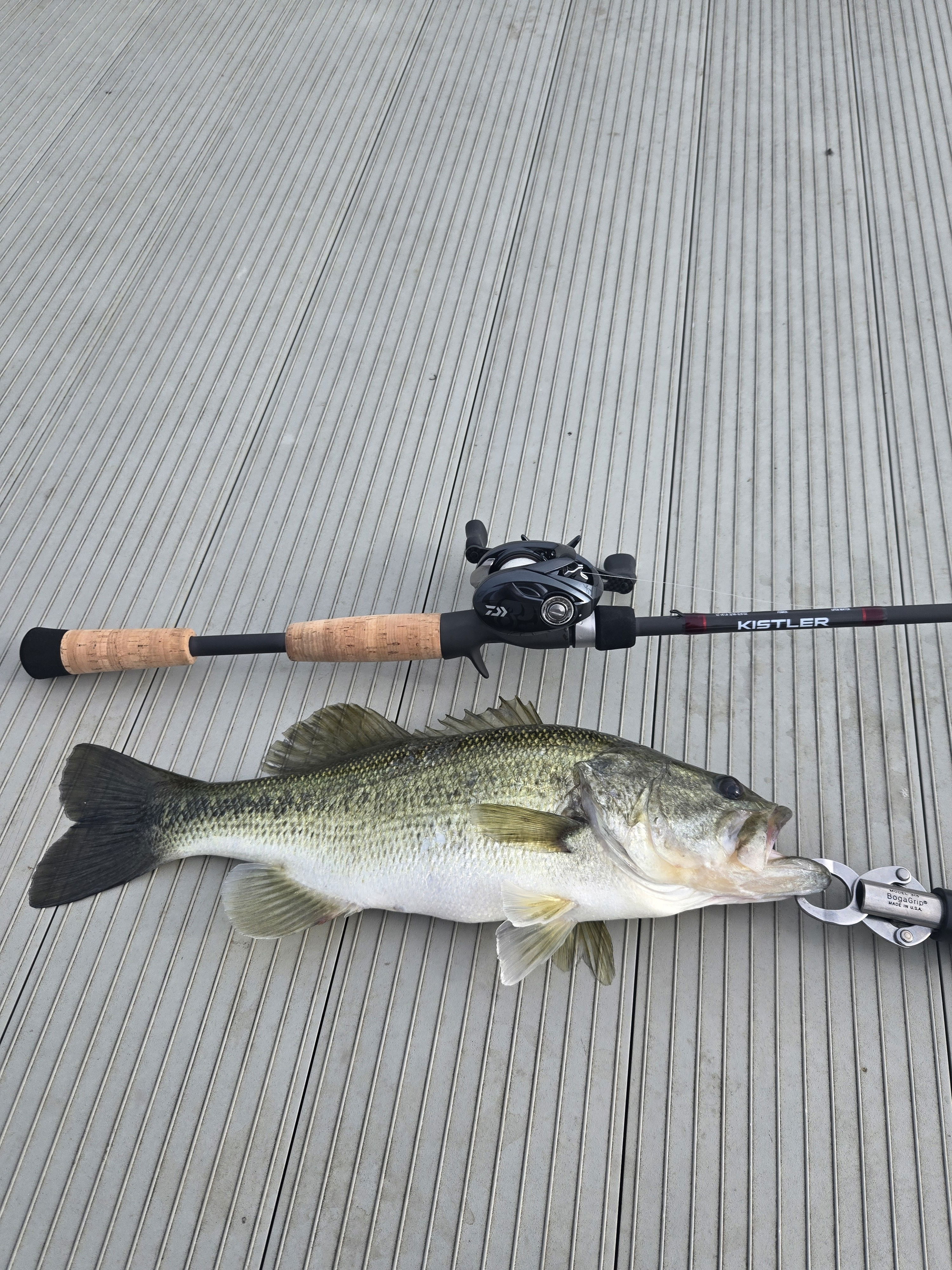 Z Bone Fishing Rod – KISTLER Fishing Z Bone Fishing Rod – KISTLER Fishing