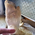 Photo thumbnail