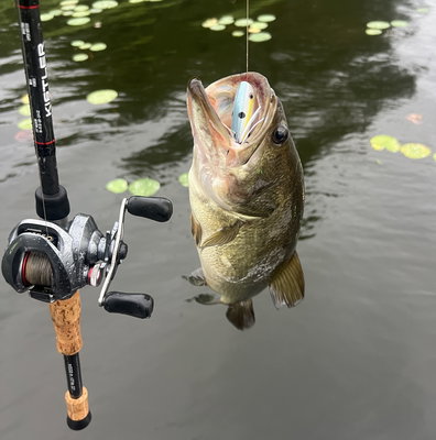 evolve fishing lures Red Gill EVO Evolution Bubblegum Pink / 178mm 3/pk 28 Prime Day Fishing Crank/Jerk D eyes add strike Size:15.5mm