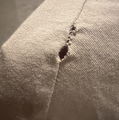 Photo thumbnail
