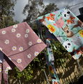 Photo thumbnail
