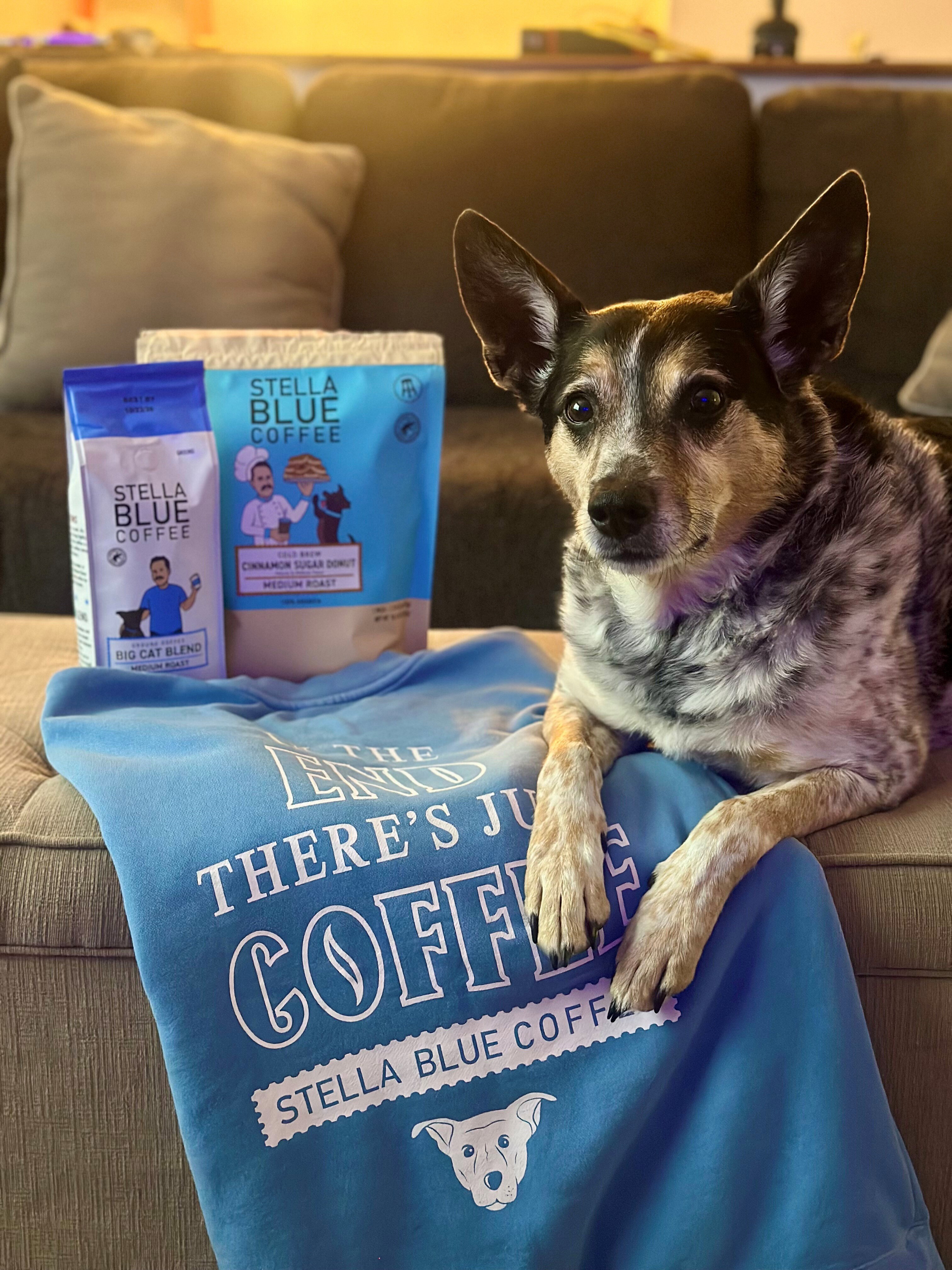 Cinnamon Sugar Donut Cold Brew - Stella Blue Coffee & Merch