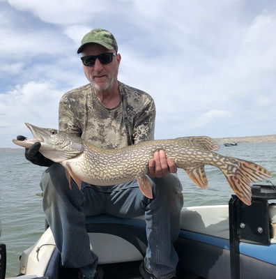 Flash Lite Troll 2-Blade — Mack's Lure Tackle