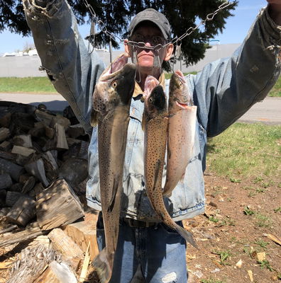 Flash Lite Troll 2-Blade — Mack's Lure Tackle