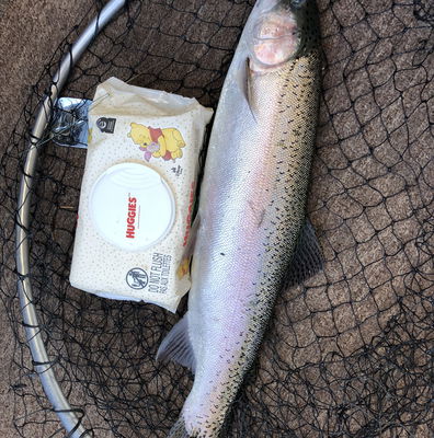 Flash Lite Troll 2-Blade — Mack's Lure Tackle