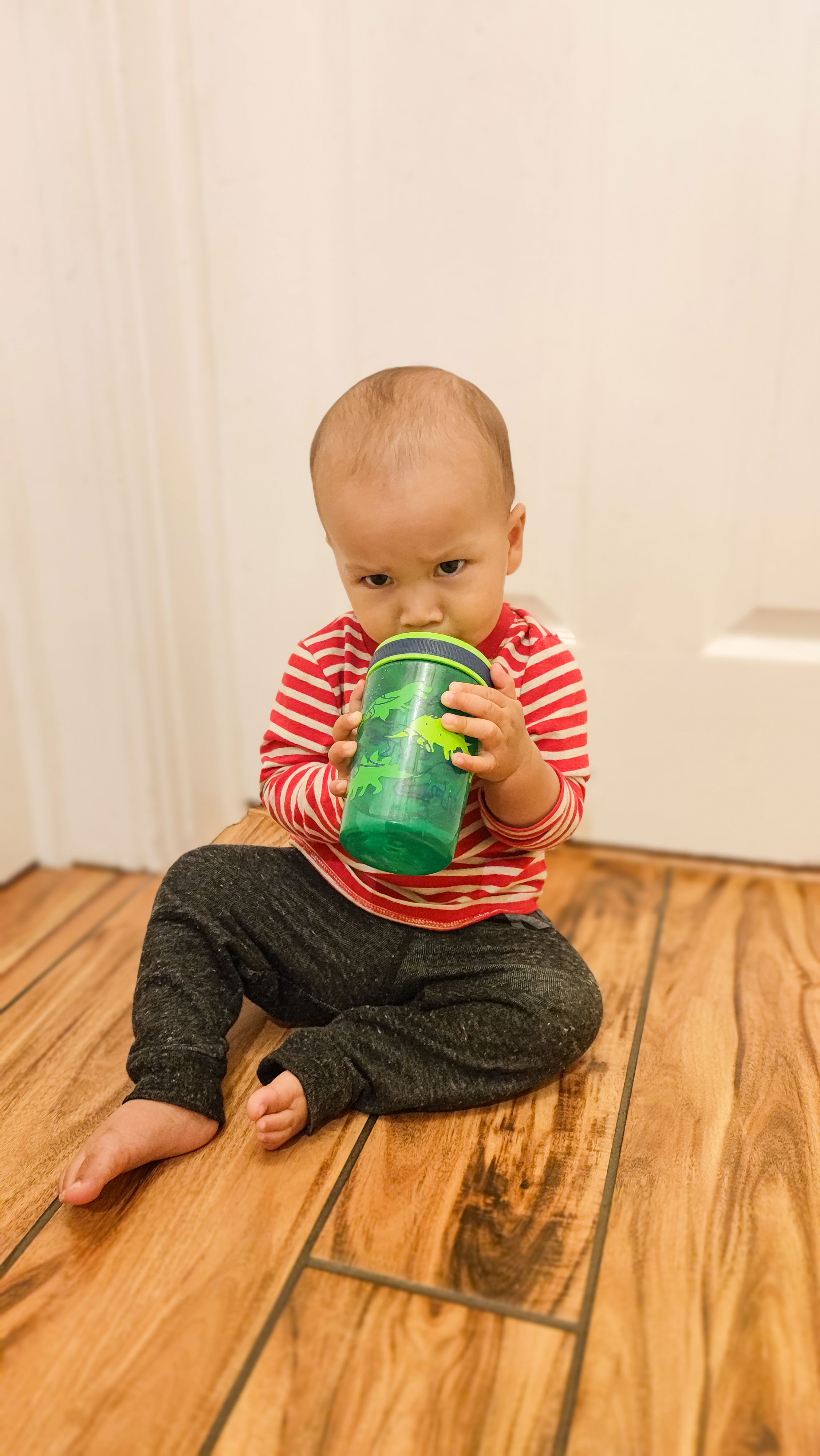 Leakproof Kids Tumblers - Sweet Berry and Lemon Zest, 15 oz. – zak.com