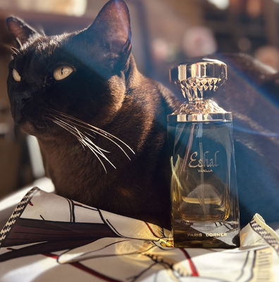 Jean Lowe Noir (Ombre) 100ml EDP - Maison Alhambra – Dune