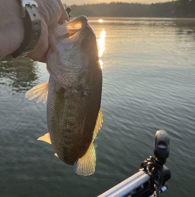 ロッド Kistler KLX-BBC70M KLX Fishing Rod – KISTLER Fishing