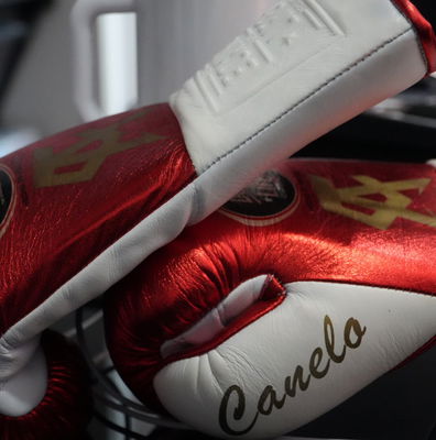 ノーボクシングノーライフ　14オンス　紫金 No Boxing No Life Fight Gloves - Lila/ Gold Boxing Gloves