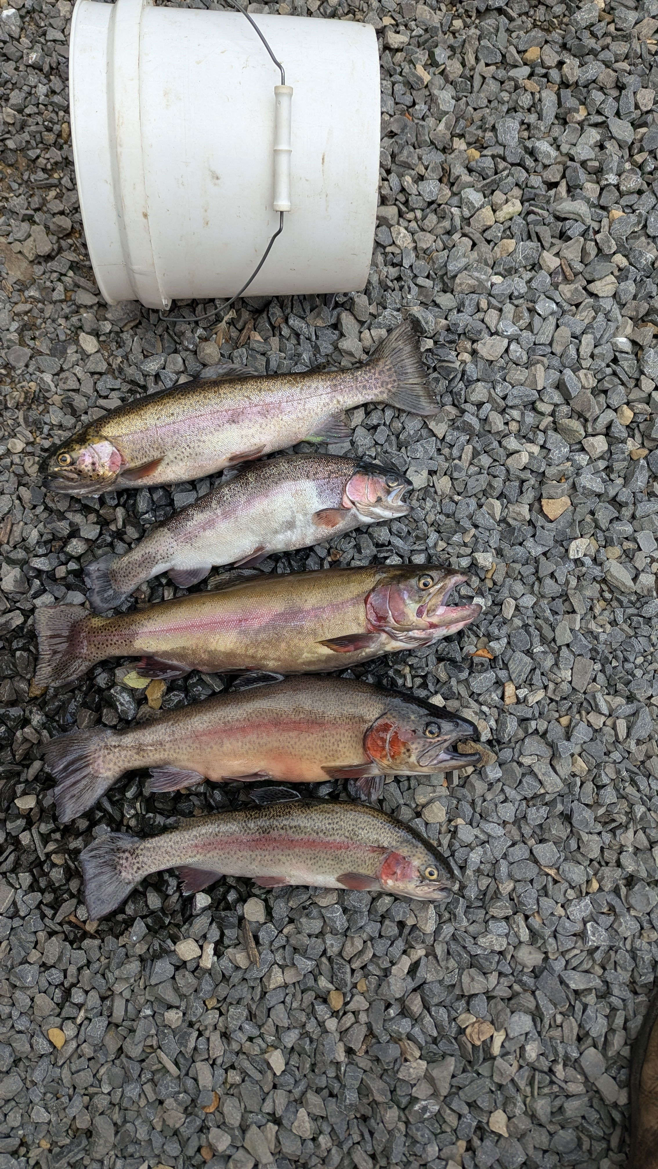 KLX Fishing Rod – KISTLER Fishing