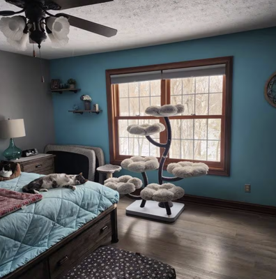 Eden Cloud Flower Cat Tree | Modern Cat Tower for Stylish Homes