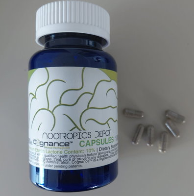 dihexa supplement wholisticresearch Nootropics Depot