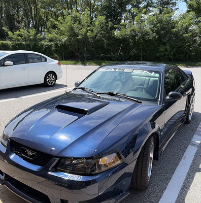 Windshield Banner, Saleen, 99-04 S281 S351 | Saleen – Saleen