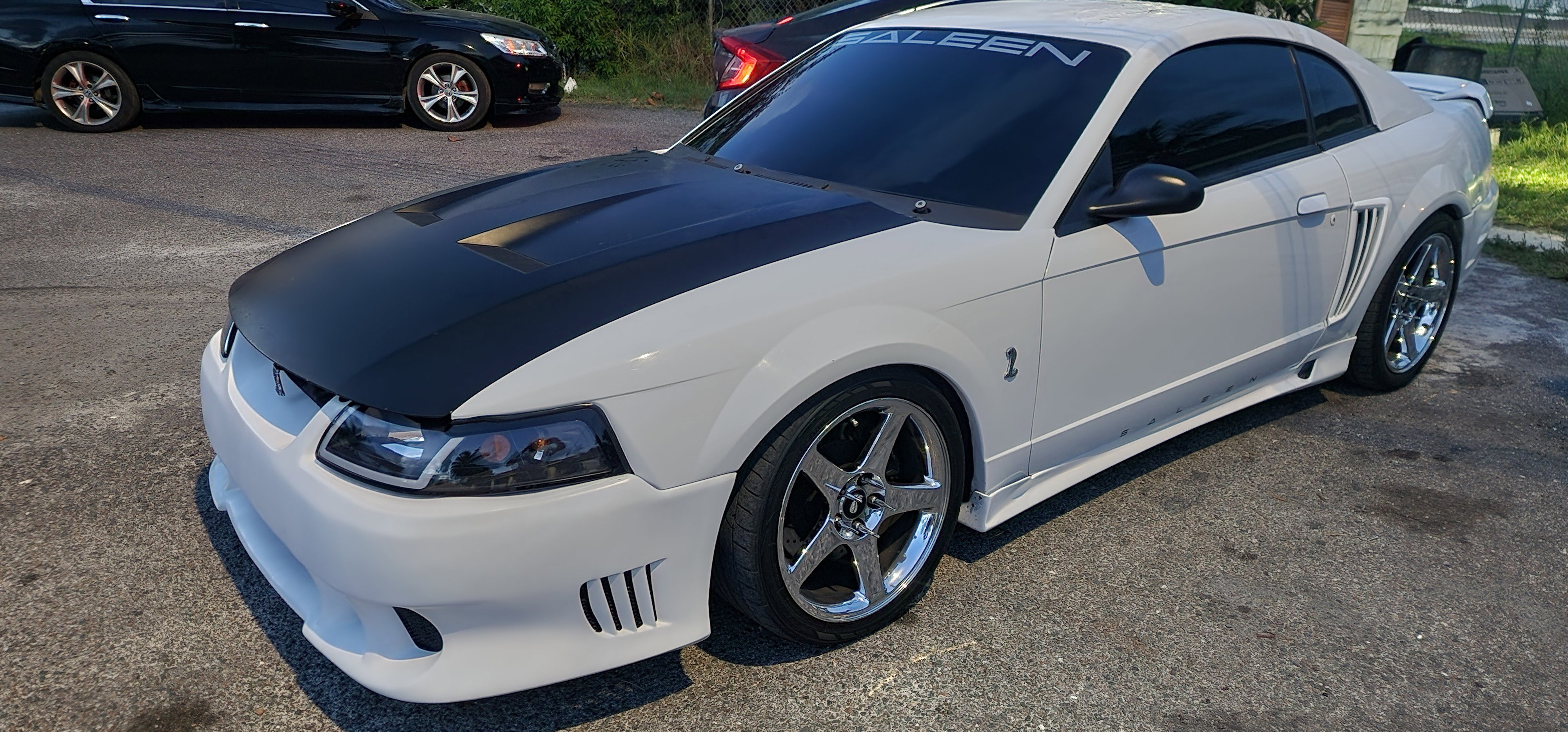 Decal, Door Logo, 99-04 S281, S351 | Saleen Performance – Saleen