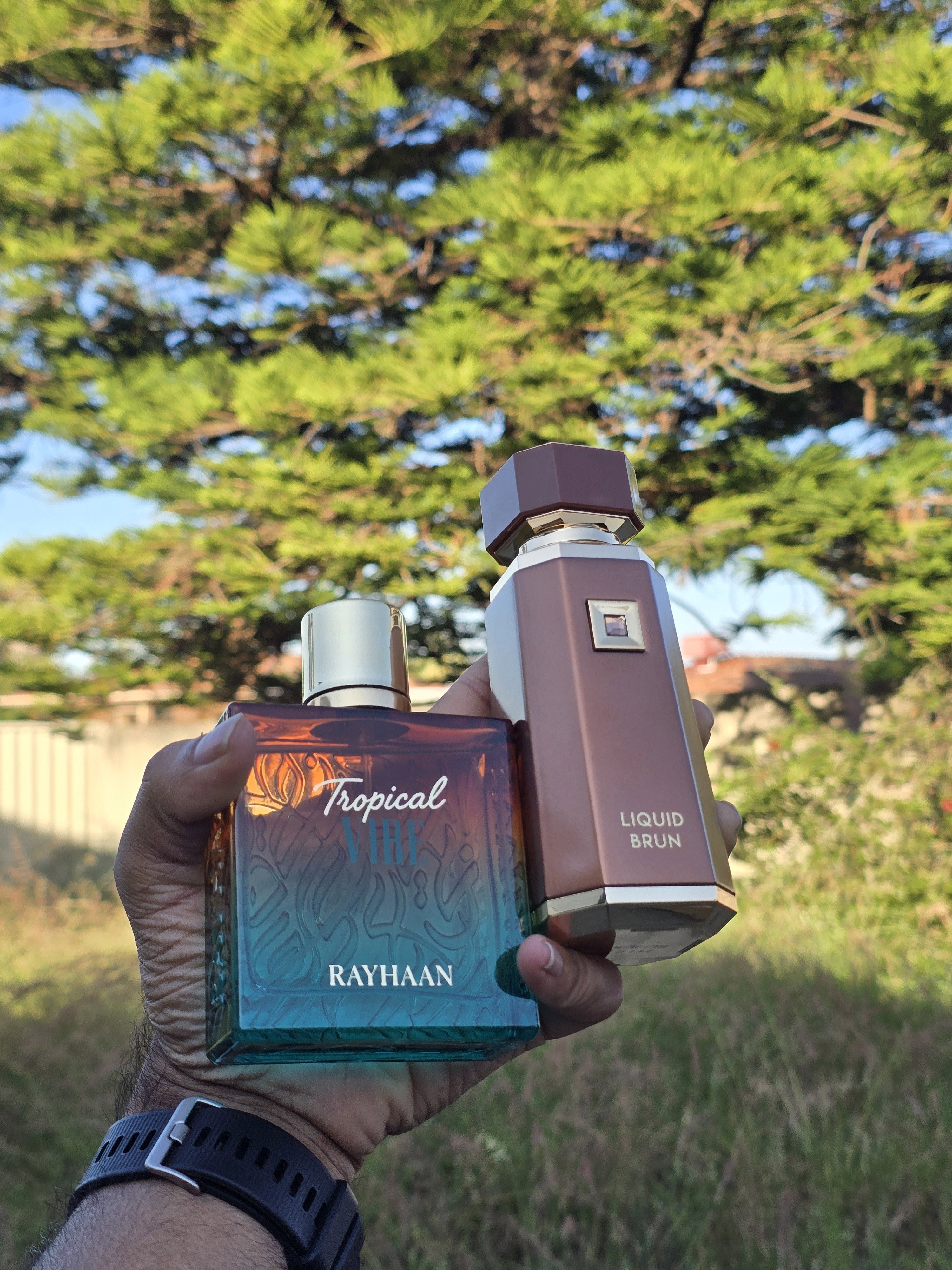 Tropical Vibe 100ml EDP By Rayhaan