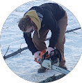 Leanne T.'s avatar image.