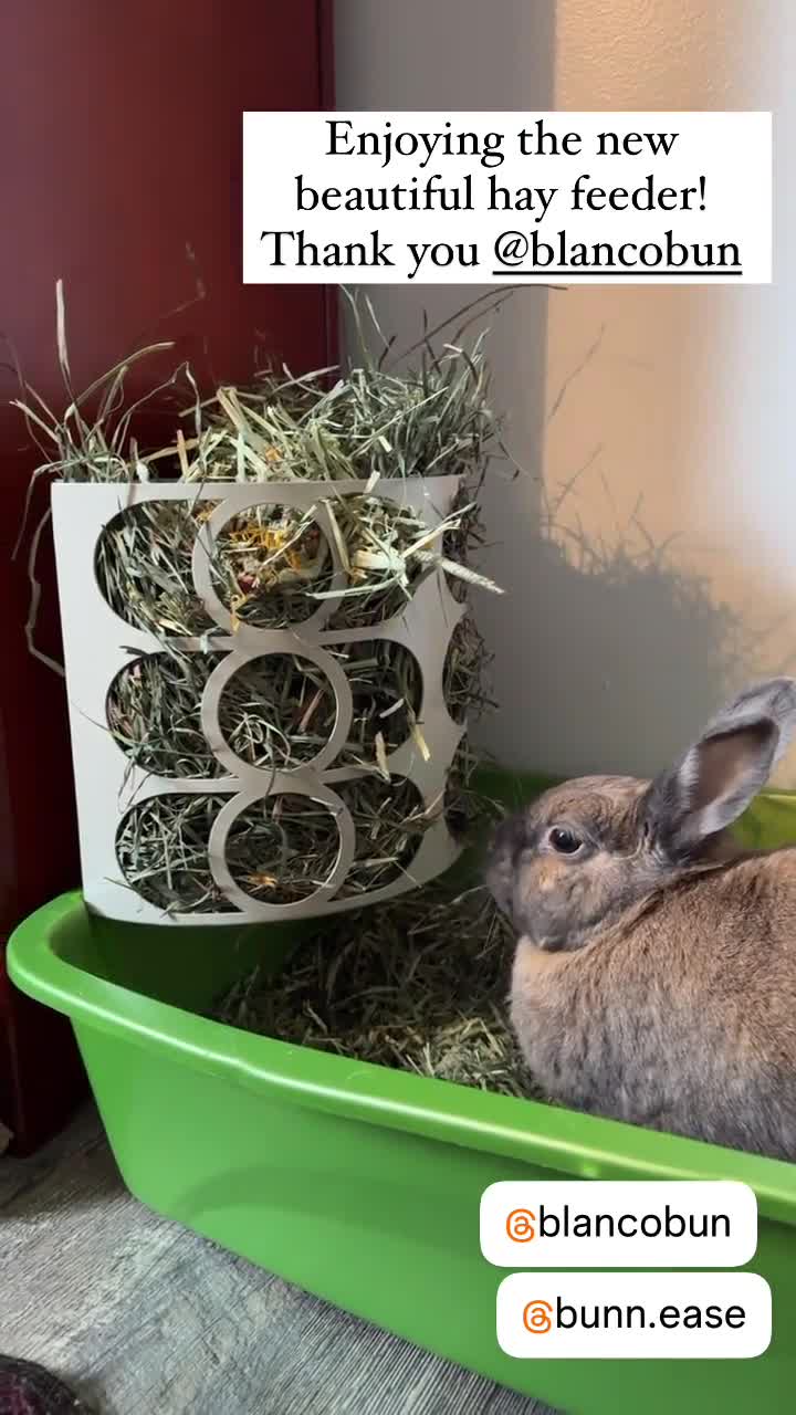Rabbit hay net shop